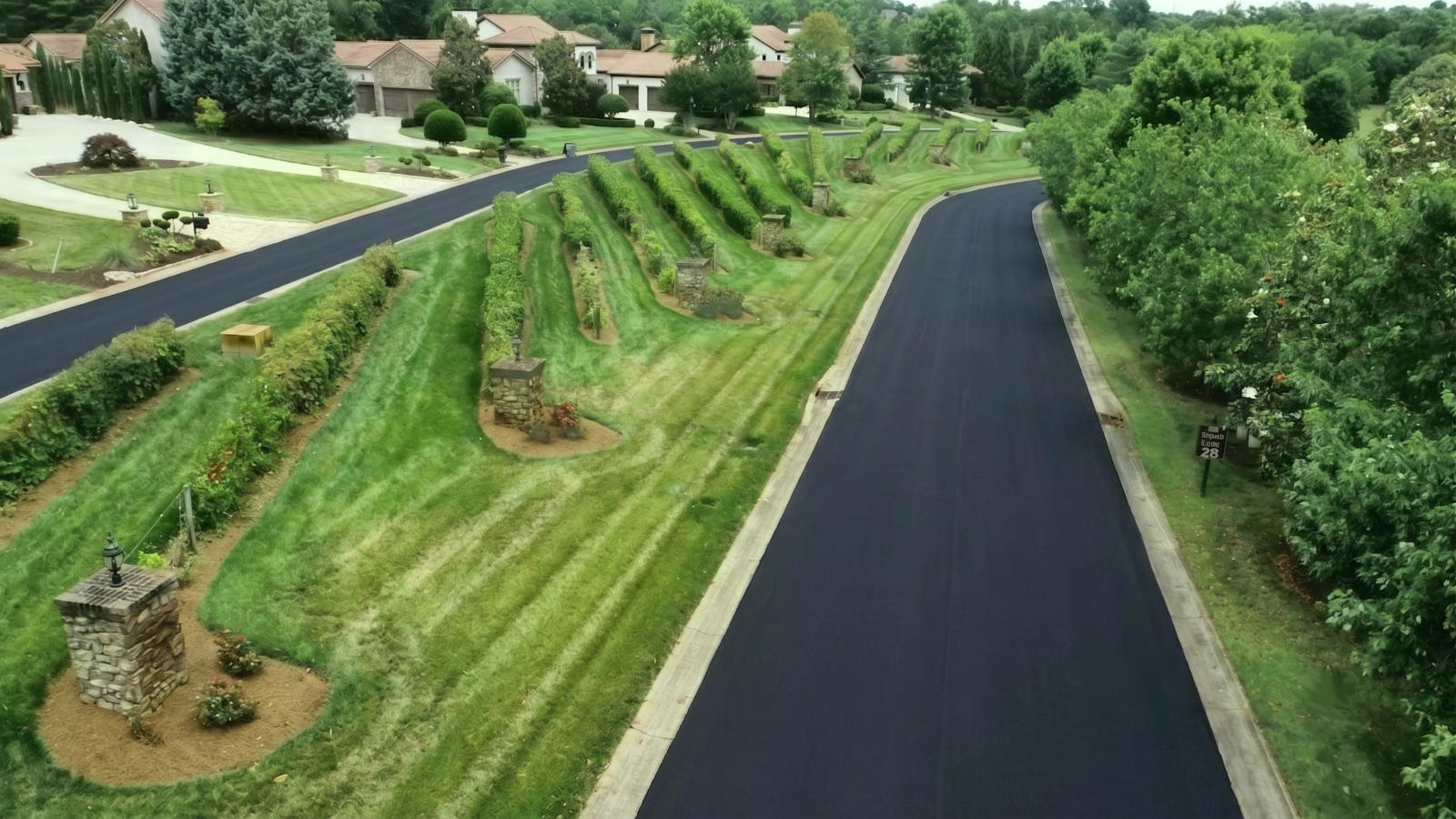 Manicured vineyard rows lining a community street