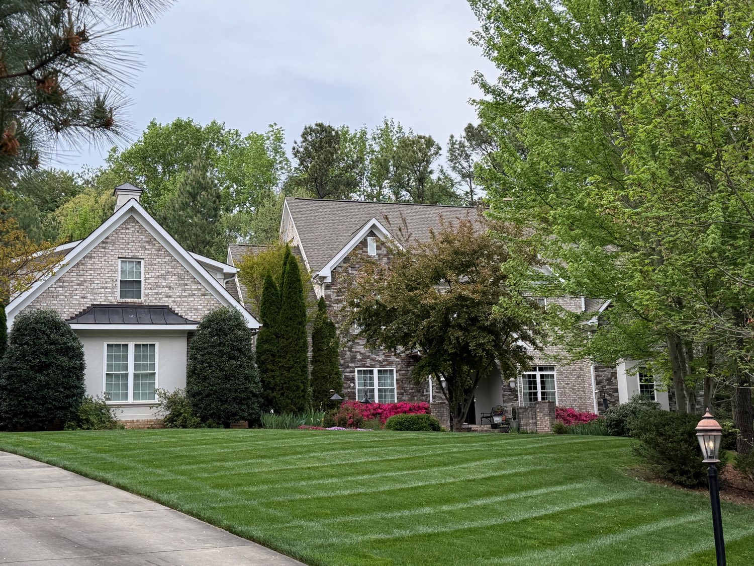 Custom estate framed by trees
